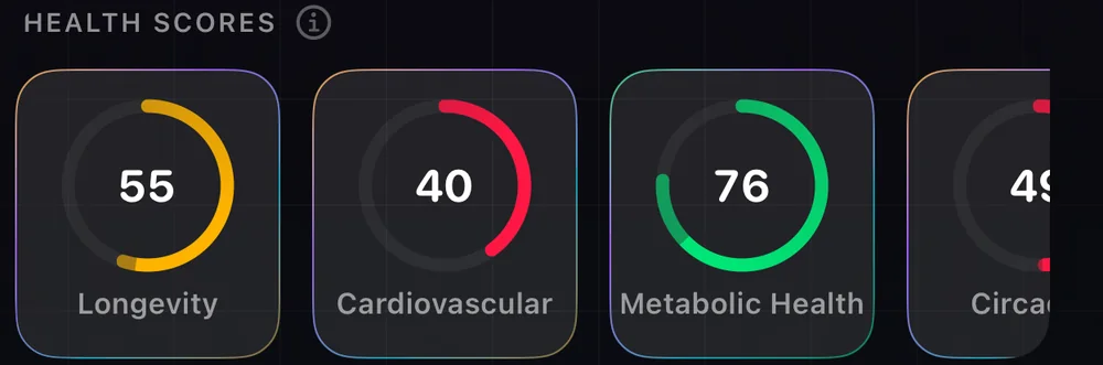 Body Vitals Tab „Gesundheit“: Karte „Gesundheits-Scores“ mit echten Daten