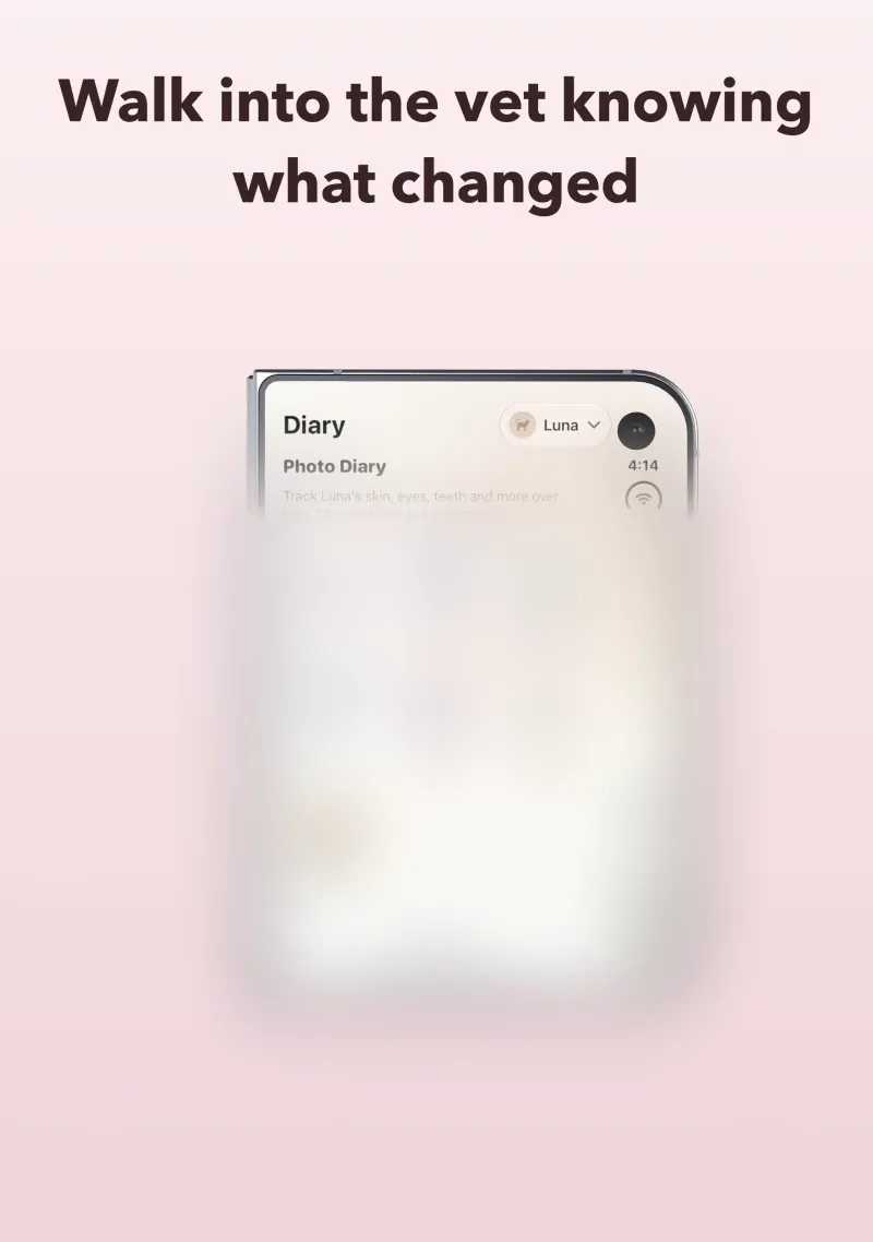 Walk into the vet knowing what changed. Photo diary on an iPhone Duo