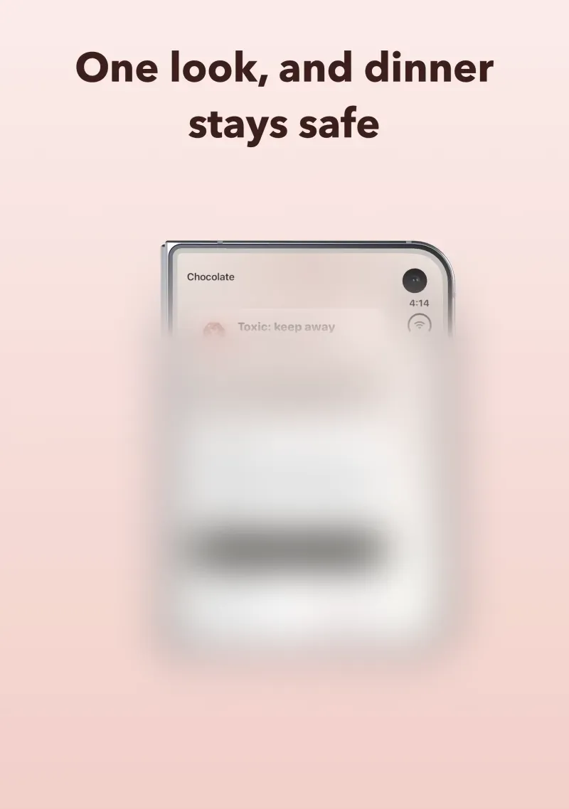 One look, and dinner stays safe. The chocolate verdict on an iPhone Duo
