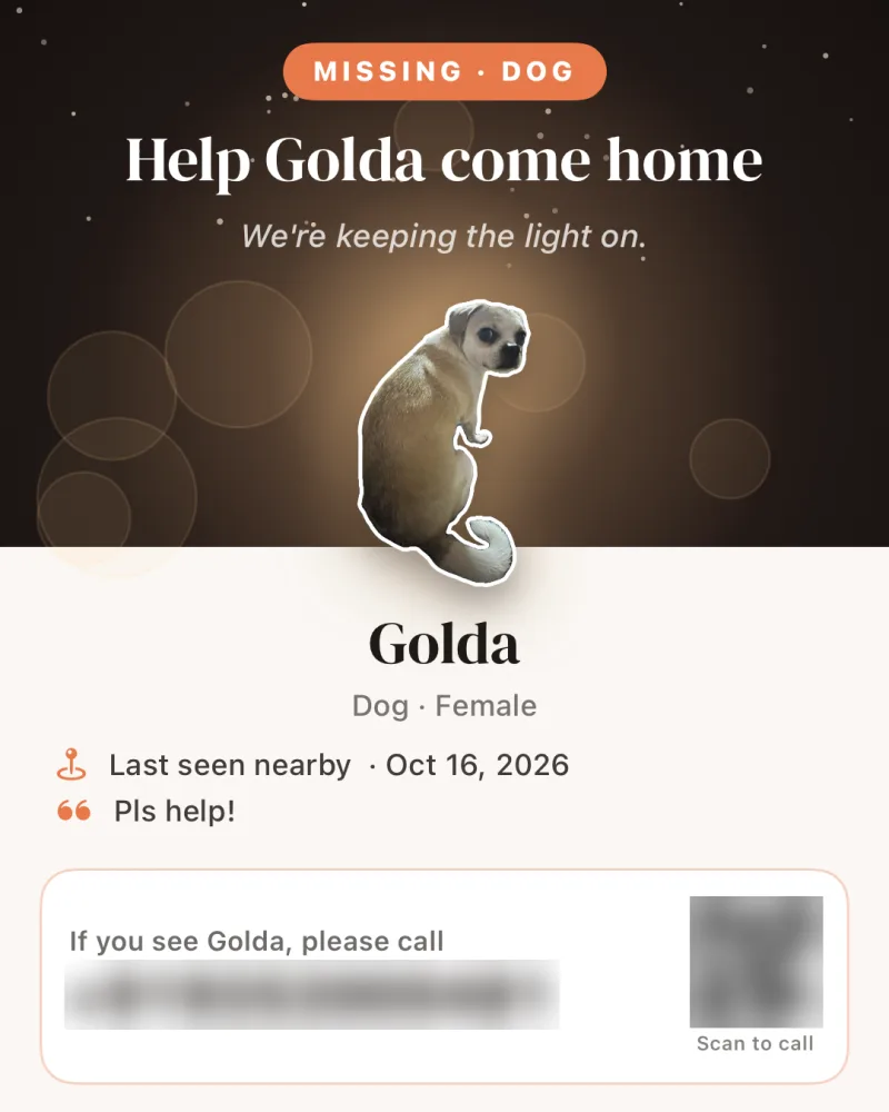 A Dote lost-pet poster: Missing dog, Help Golda come home, her photo, last seen nearby, and a call box with a scan-to-call QR code