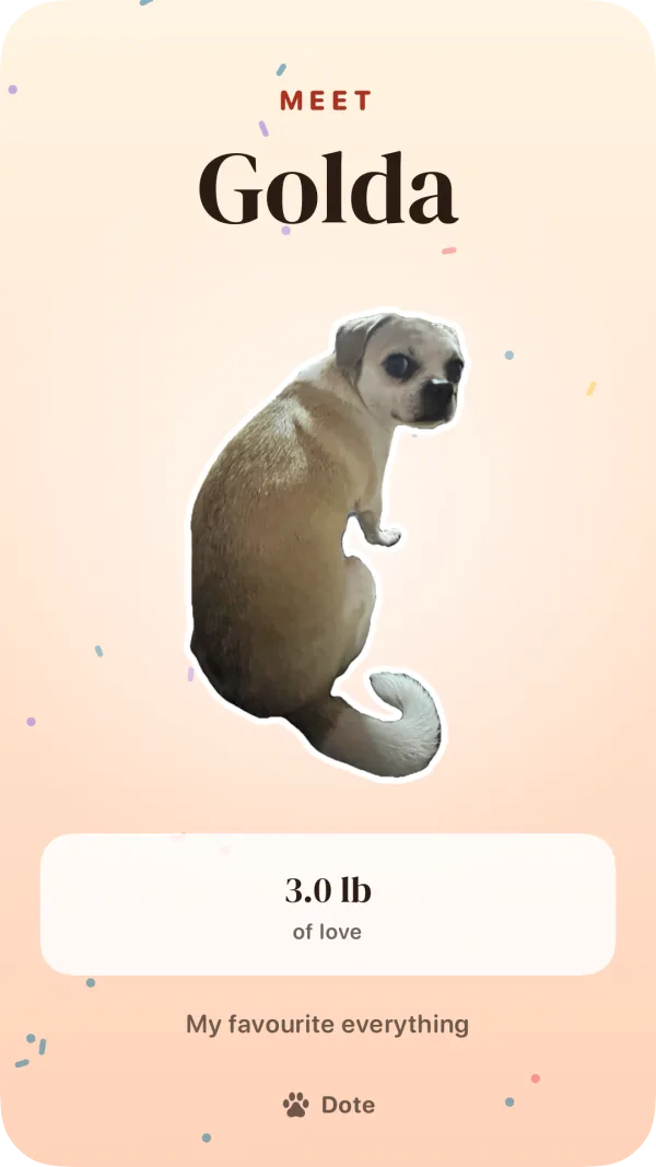 A Dote share card: Meet Golda, her sticker on a warm peach background, 3.0 lb of love, My favourite everything