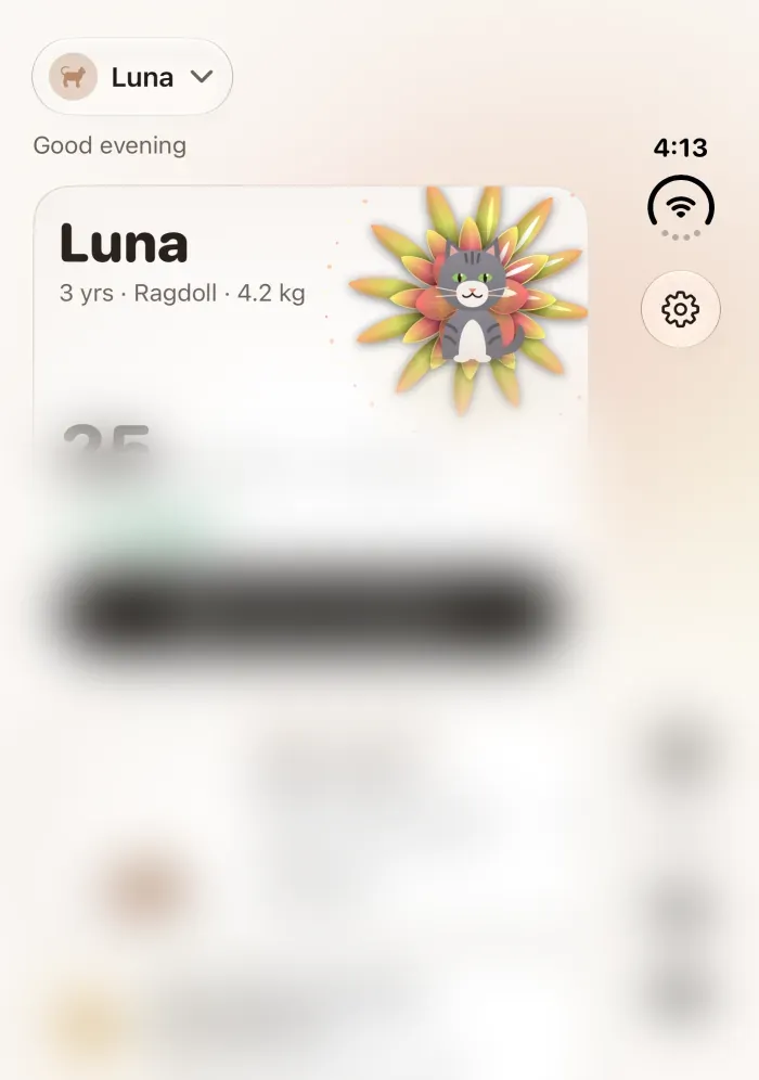 Dote Today screen on the iPhone Duo cover display